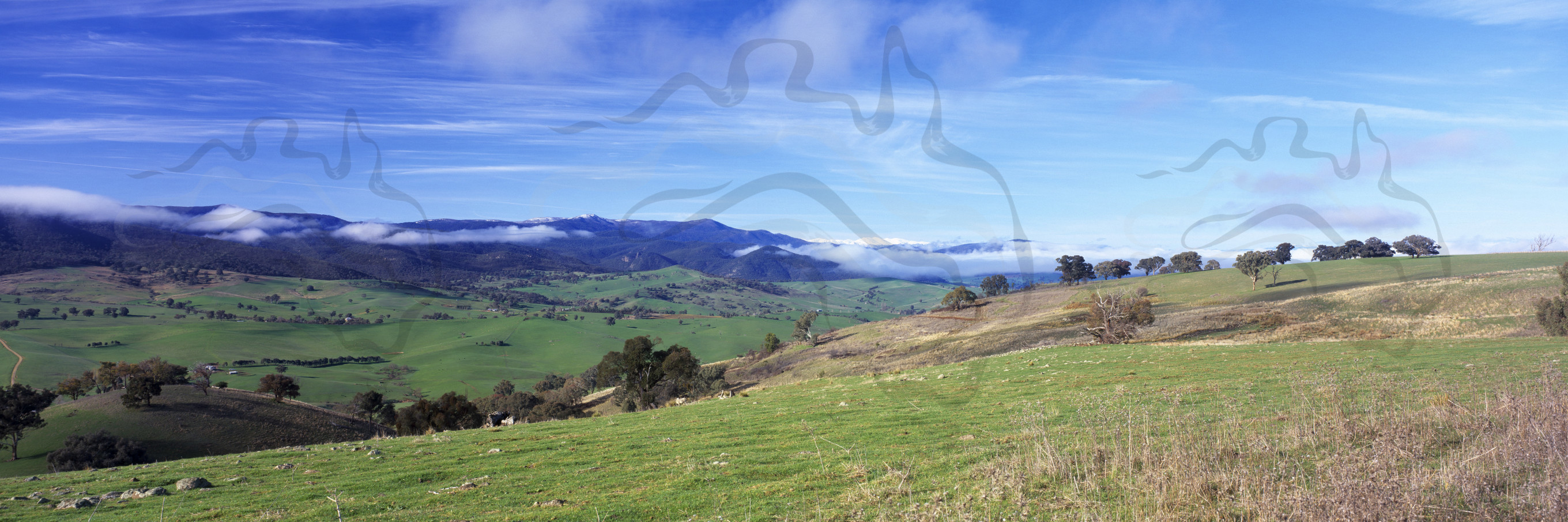 Wide Angle View of Farm Land Stock Images Tumbaruma Photos NSW High Country